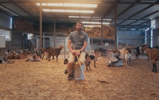Crestellina, una empresa familiar haciendo queso de forma sostenible en la España rural