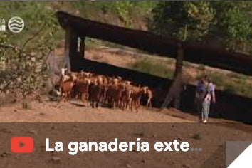 La ganadería extensiva ha sido clave en la extinción del incendio de Sierra Bermeja
